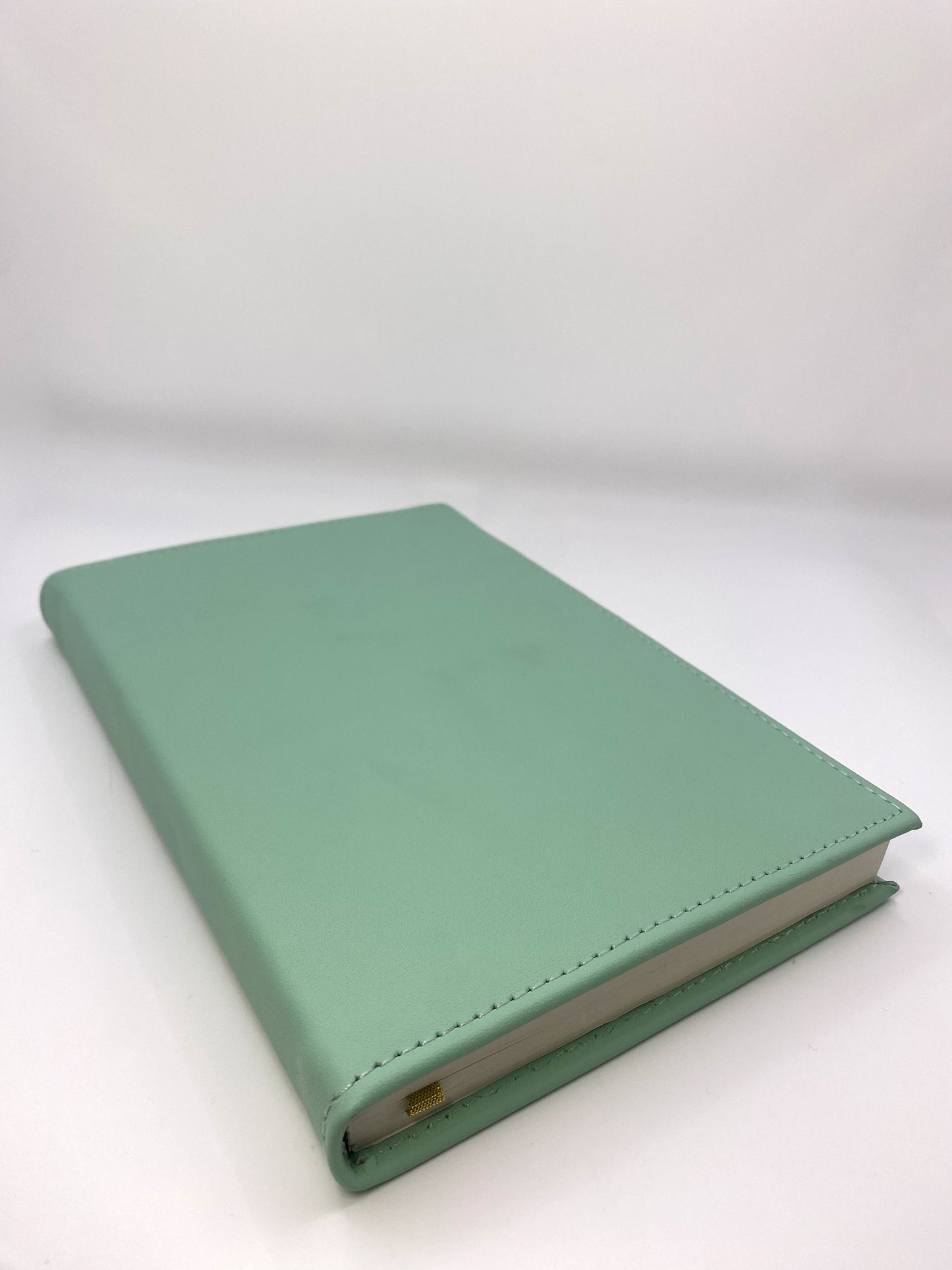 Large Mint Leather Notebook